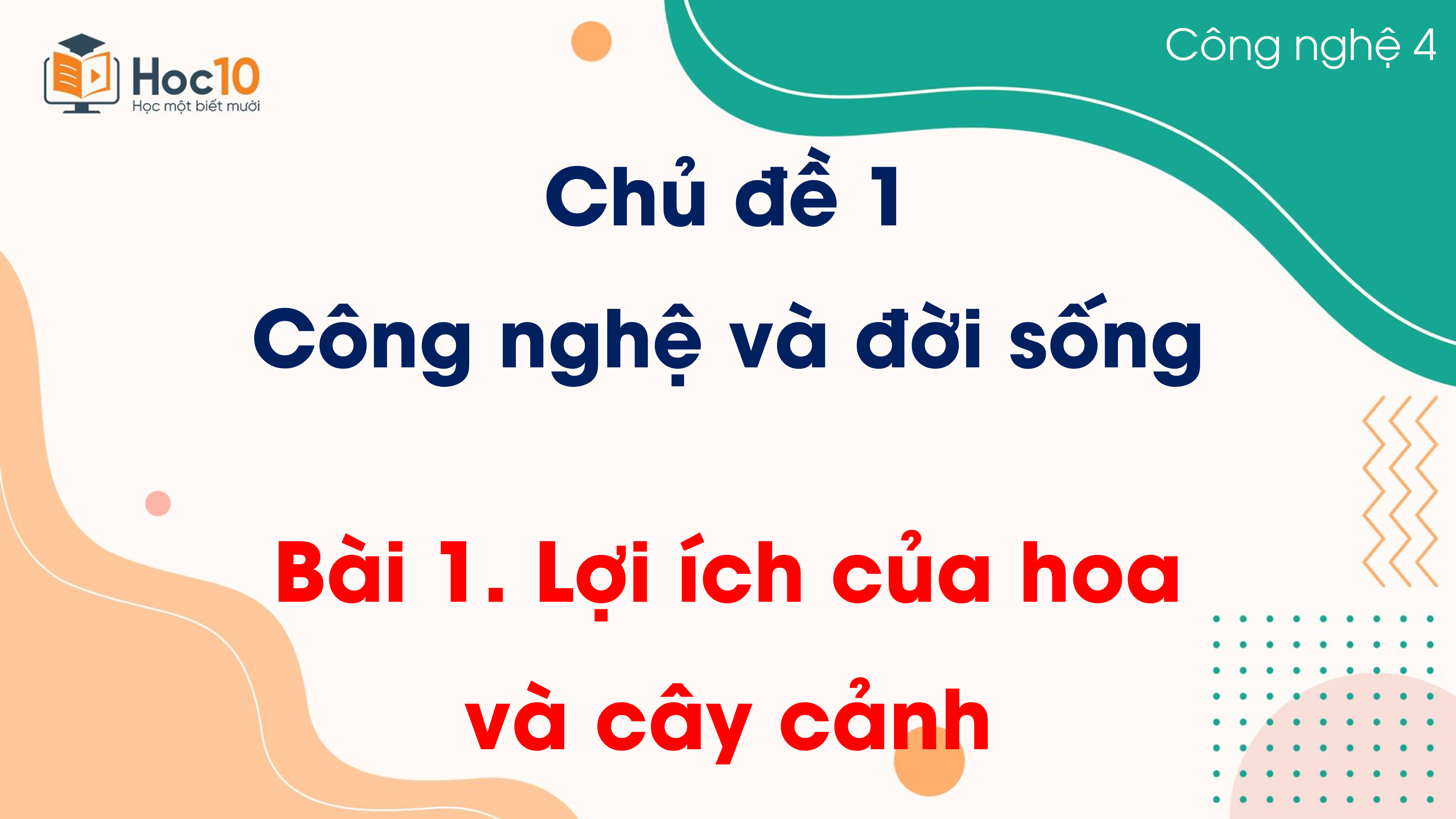 Chủ đề 1 - Bài 1 Lợi ích của hoa và cây cảnh